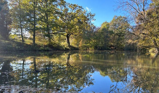 Exciting News: The Wilderness Gathering moves to Hole Park Gardens in 2024!