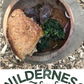 2024 Masterclass Wild cookery 1600 on Friday and Saturday