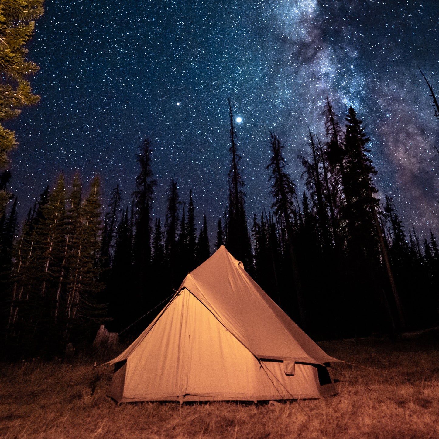 Full Event: Tent hire 2026