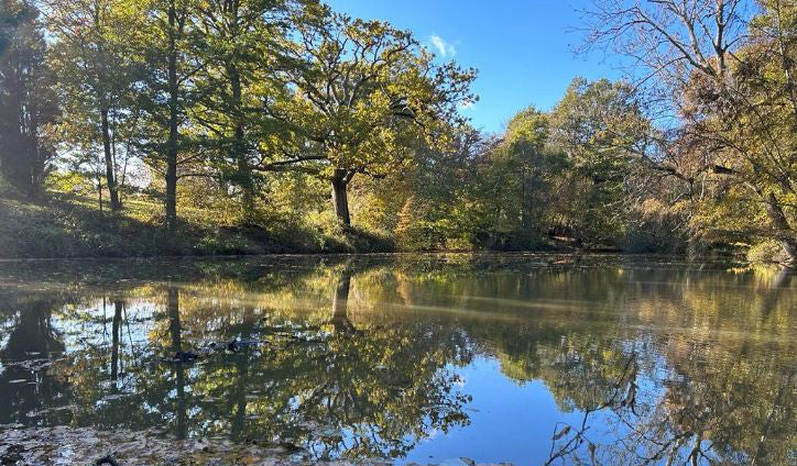 Exciting News: The Wilderness Gathering moves to Hole Park Gardens in 2024!