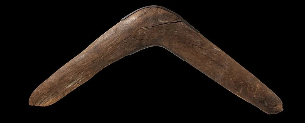 2026 Masterclass : Boomerang and Throwstick Technology: Feral Science Sunday 1300