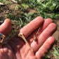 Masterclass 2026: Primitive Fishing with Billy Souter Primitive Living 1200 Friday