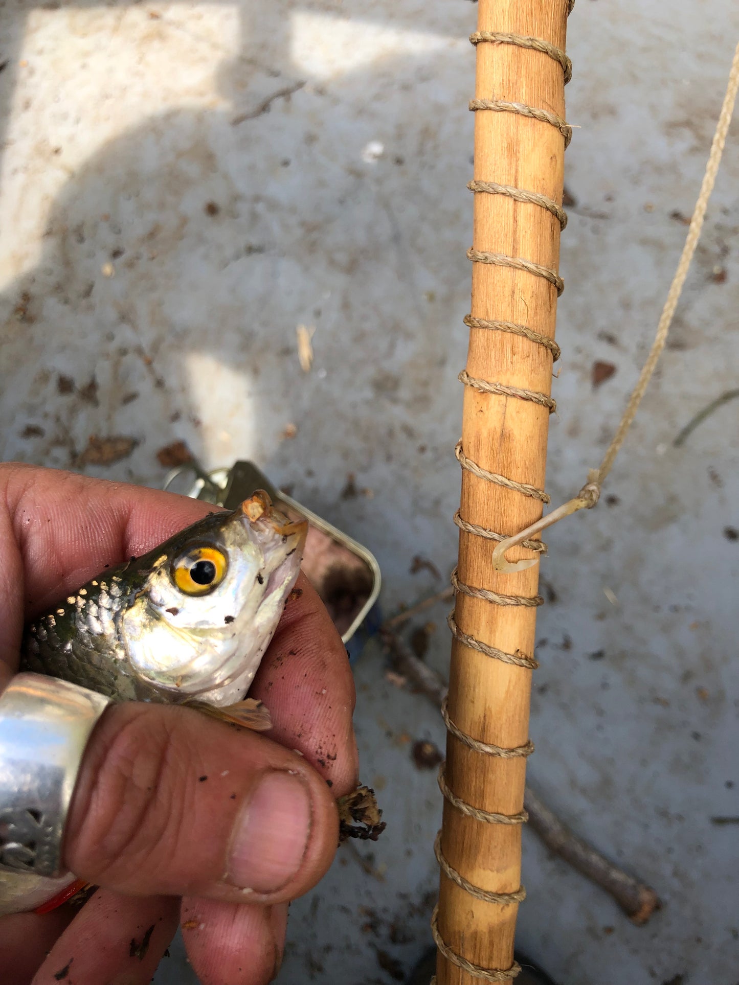 Masterclass 2026: Primitive Fishing with Billy Souter Primitive Living 1200 Friday