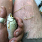 Masterclass 2026: Primitive Fishing with Billy Souter Primitive Living 1200 Friday